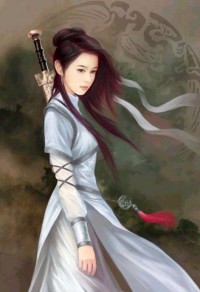 笑傲官途