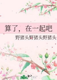 算了,在一起吧